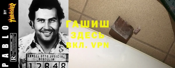 индика Алзамай