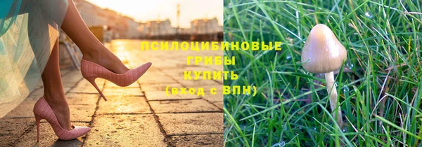 твердый Алексеевка