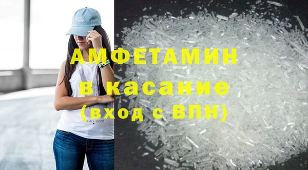 индика Алзамай