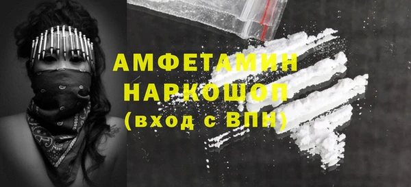 индика Алзамай