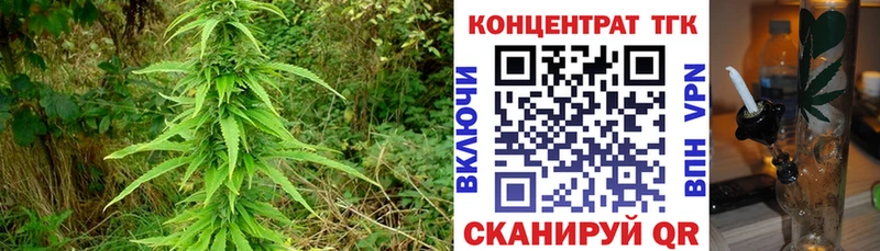 Дистиллят ТГК Wax  где можно купить наркотик  Багратионовск 