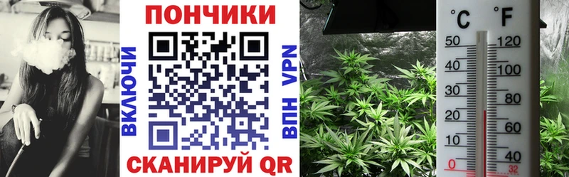 OMG ONION  Багратионовск  Шишки марихуана MAZAR  хочу наркоту 